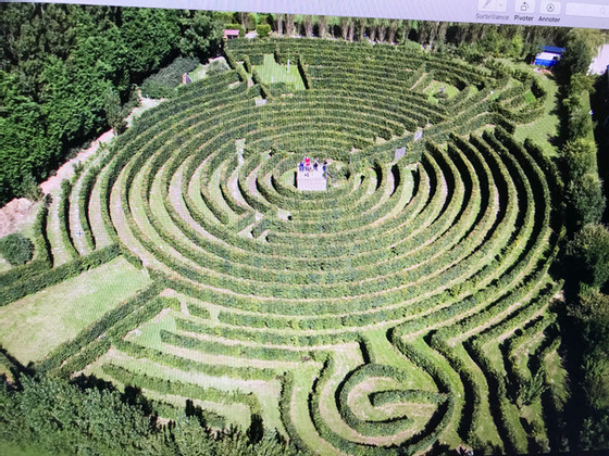 Labyrinthe Artmazia